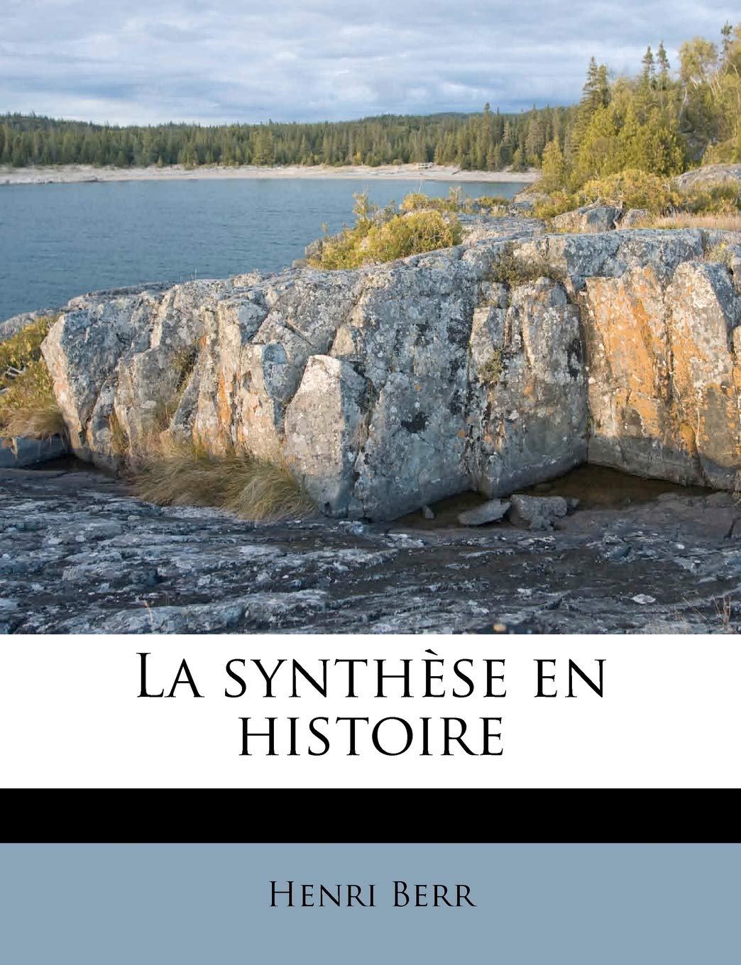 La synthèse en histoire book