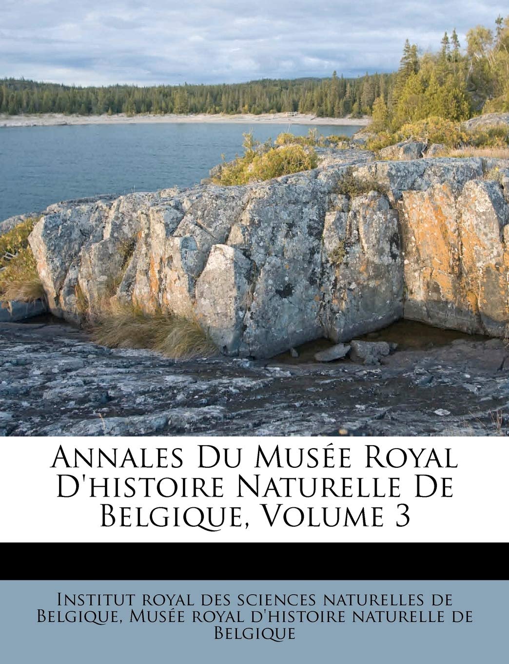 Annales Du Musée Royal D'histoire Naturelle De Belgique, Volume 3 book