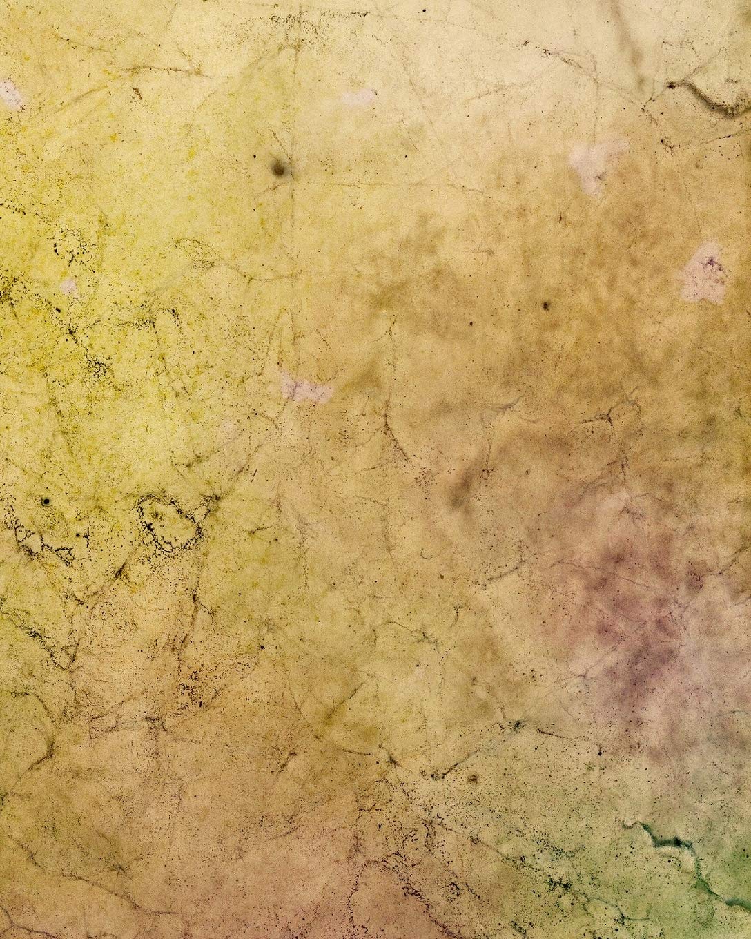 Distressed Textures Composition Notebook - Large Unruled Notebook - 8x10 Blank Notebook (Softcover Journal / Notebook / Sketchbook / Diary) (8x10 Blank Softcover Notebook, Band 168) Business, Finance & Career