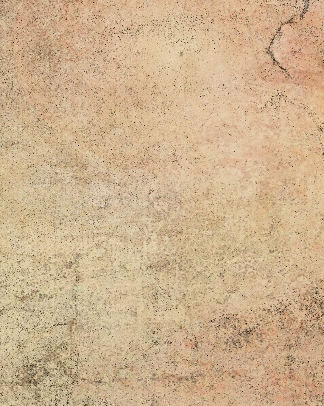 Distressed Textures Composition Notebook - Large Unruled Notebook - 8x10 Blank Notebook (Softcover Journal / Notebook / Sketchbook / Diary) (8x10 Blank Softcover Notebook, Band 168) Business, Finance & Career