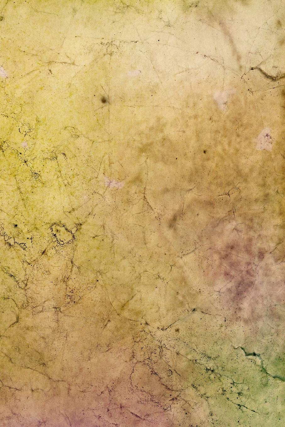 Distressed Textures Composition Notebook - Small Unruled Notebook - 6x9 Blank Notebook (Softcover Journal / Notebook / Sketchbook / Diary) (6x9 Blank Softcover Notebook, Band 160) Business, Finance & Career