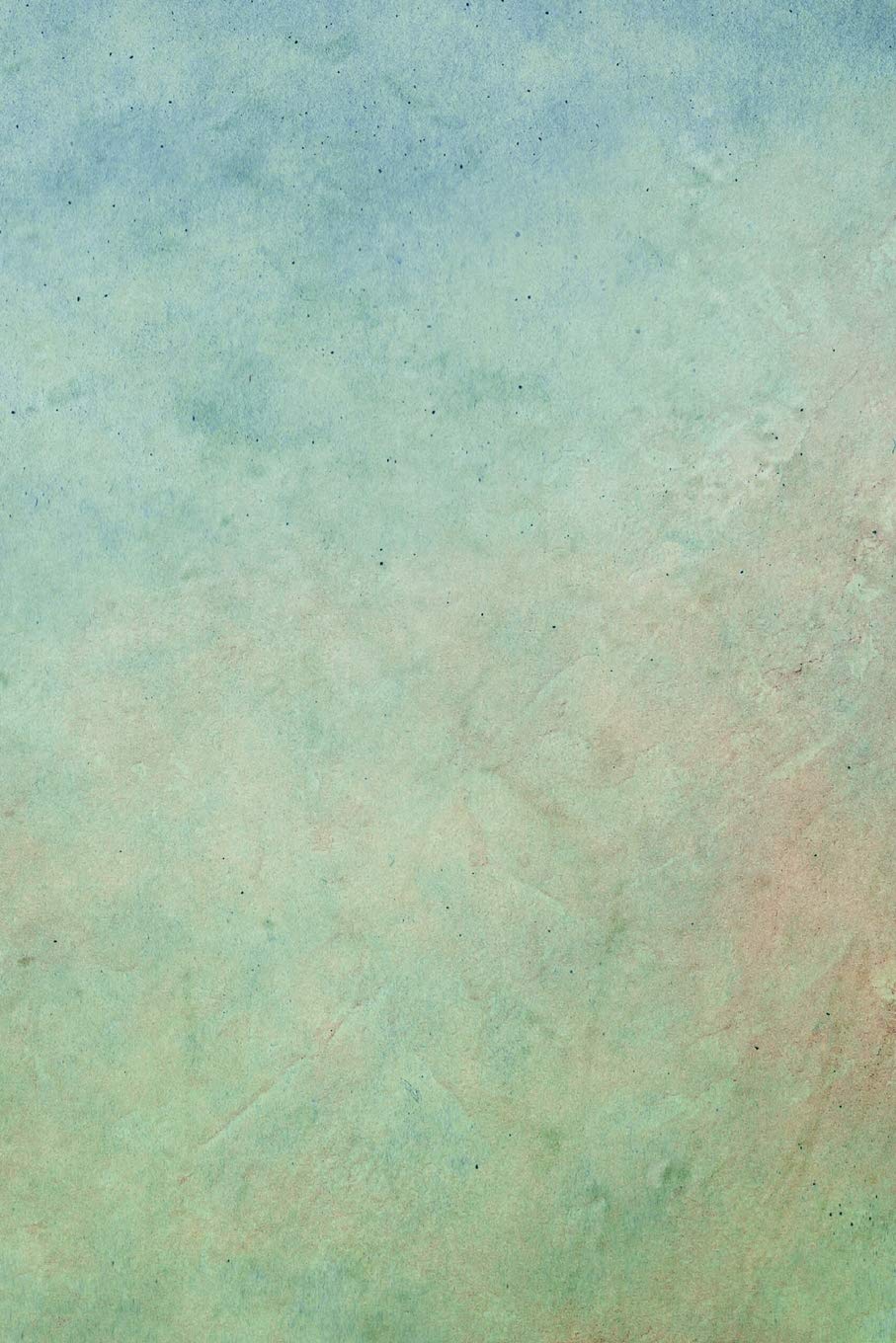 Distressed Textures Composition Notebook - Small Unruled Notebook - 6x9 Blank Notebook (Softcover Journal / Notebook / Sketchbook / Diary) (6x9 Blank Softcover Notebook, Band 160) Business, Finance & Career