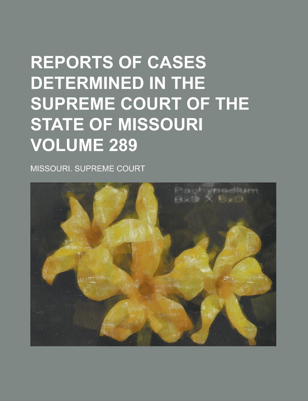 Reports of Cases Determined in the Supreme Court of the State of Missouri Volume 289 Books