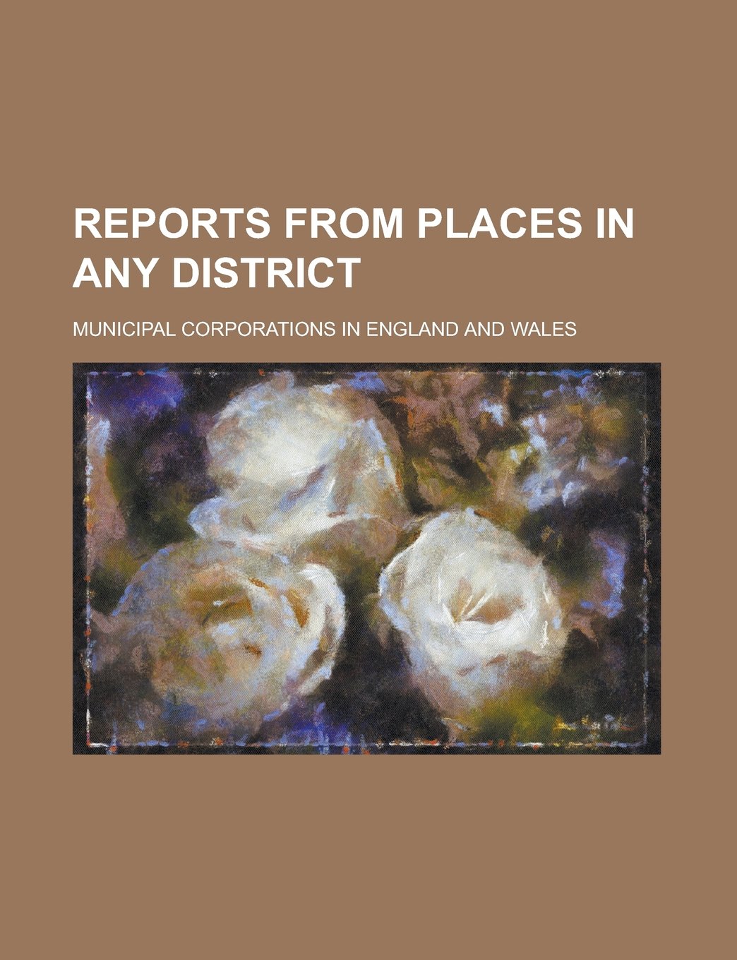 Reports from places in any district; Municipal Corporations in England and Wales Books