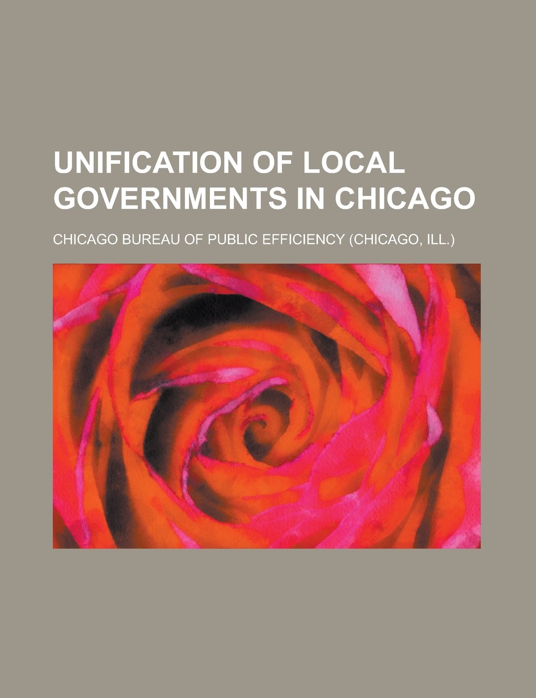 Unification of local governments in Chicago Books