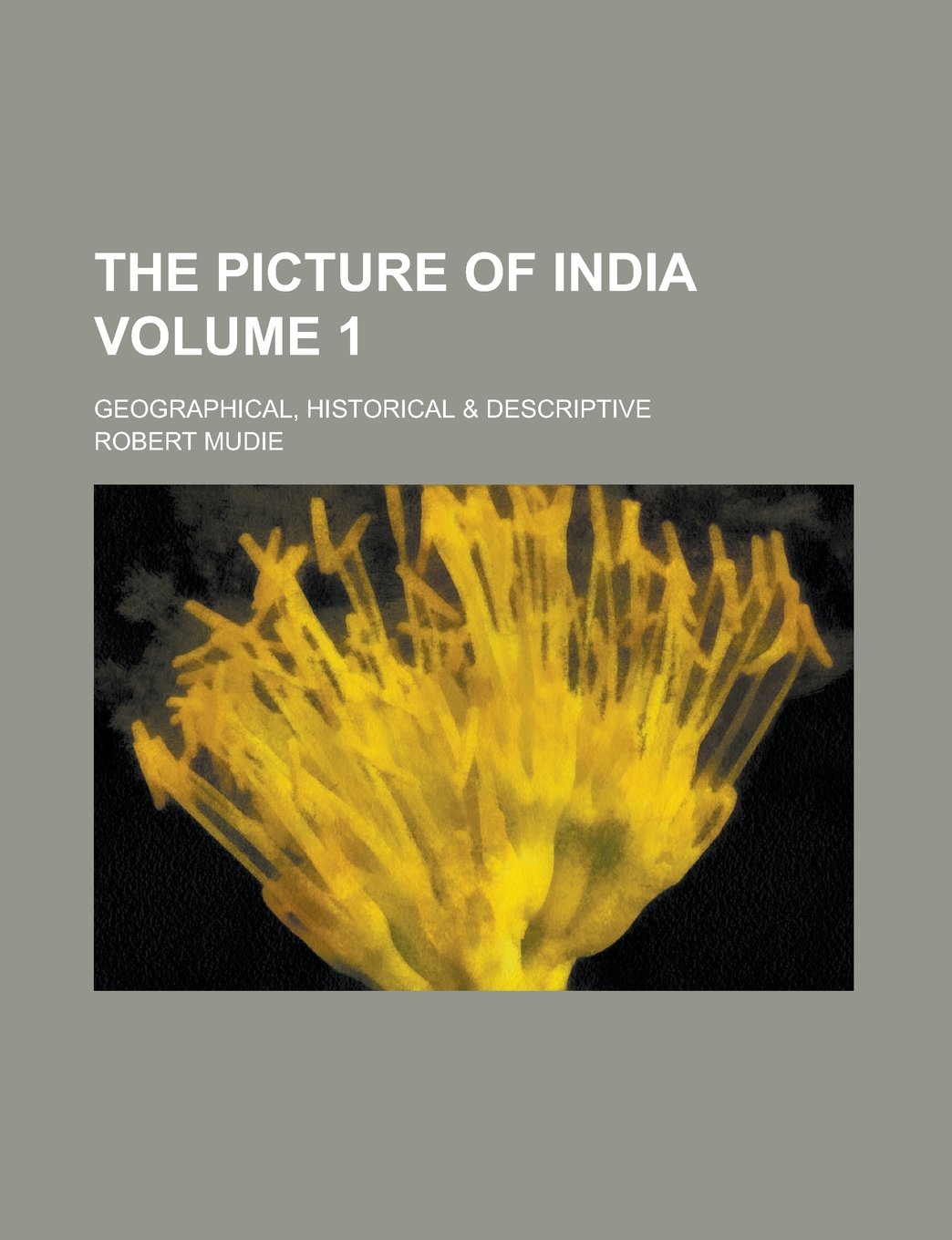 The Picture of India; Geographical, Historical & Descriptive Volume 1 Books
