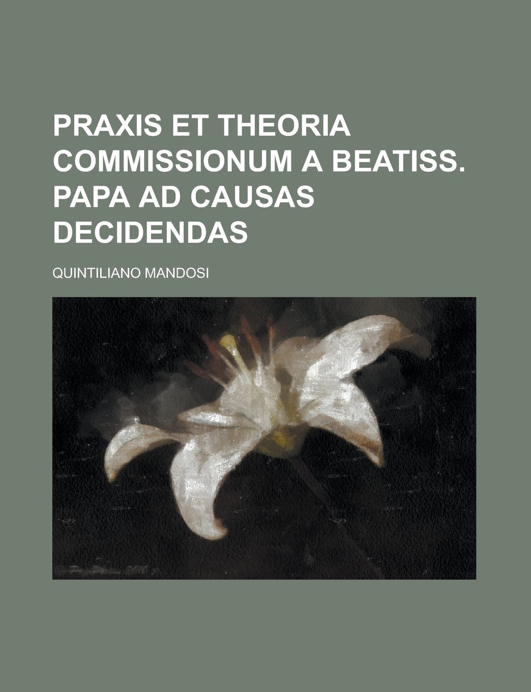 Praxis Et Theoria Commissionum a Beatiss. Papa Ad Causas Decidendas book