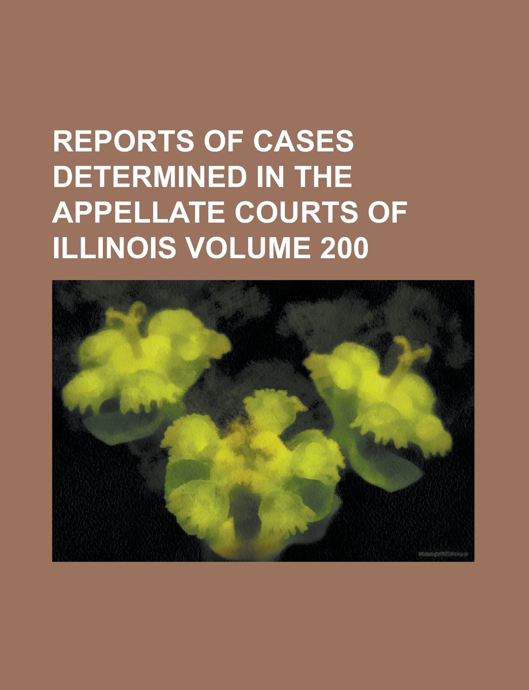 Reports of cases determined in the appellate courts of Illinois Volume 200 Books