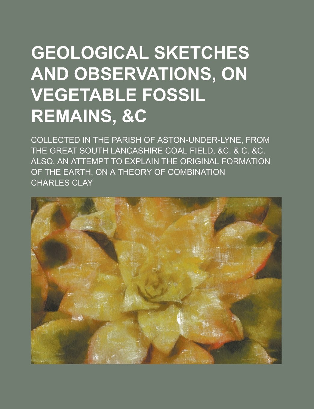Geological Sketches and Observations, on Vegetable Fossil Remains, &c Collected in the Parish of Aston-Under-Lyne, from the Great South Lancashire ... Explain the Original Formation of the Earth, book
