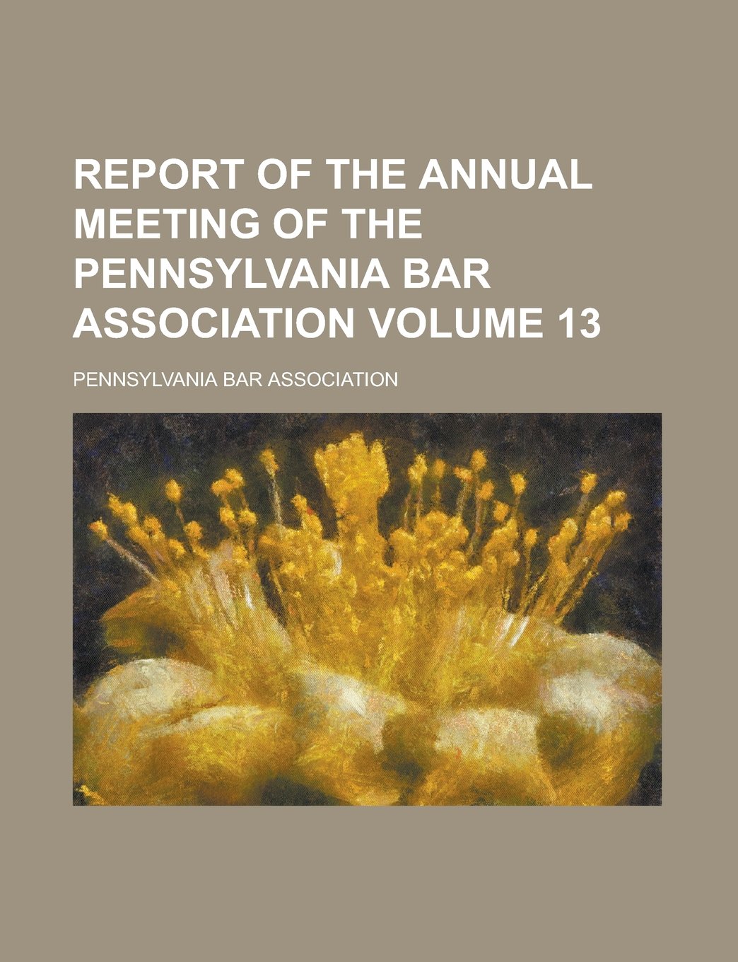 Report of the Annual Meeting of the Pennsylvania Bar Association Volume 13 Books