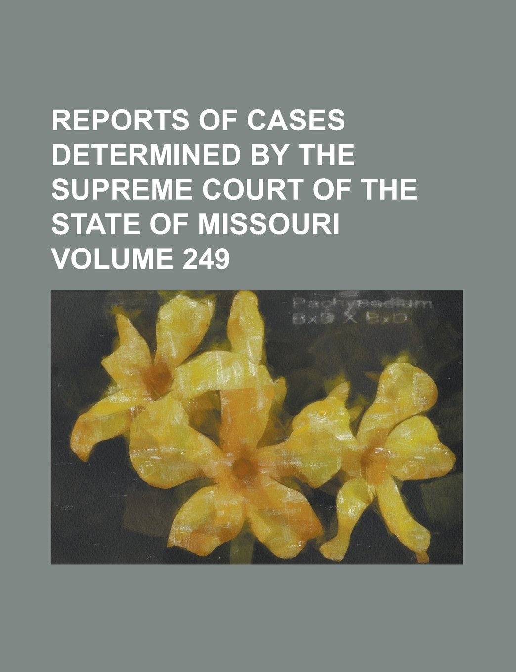 Reports of cases determined by the Supreme Court of the state of Missouri Volume 249 Books