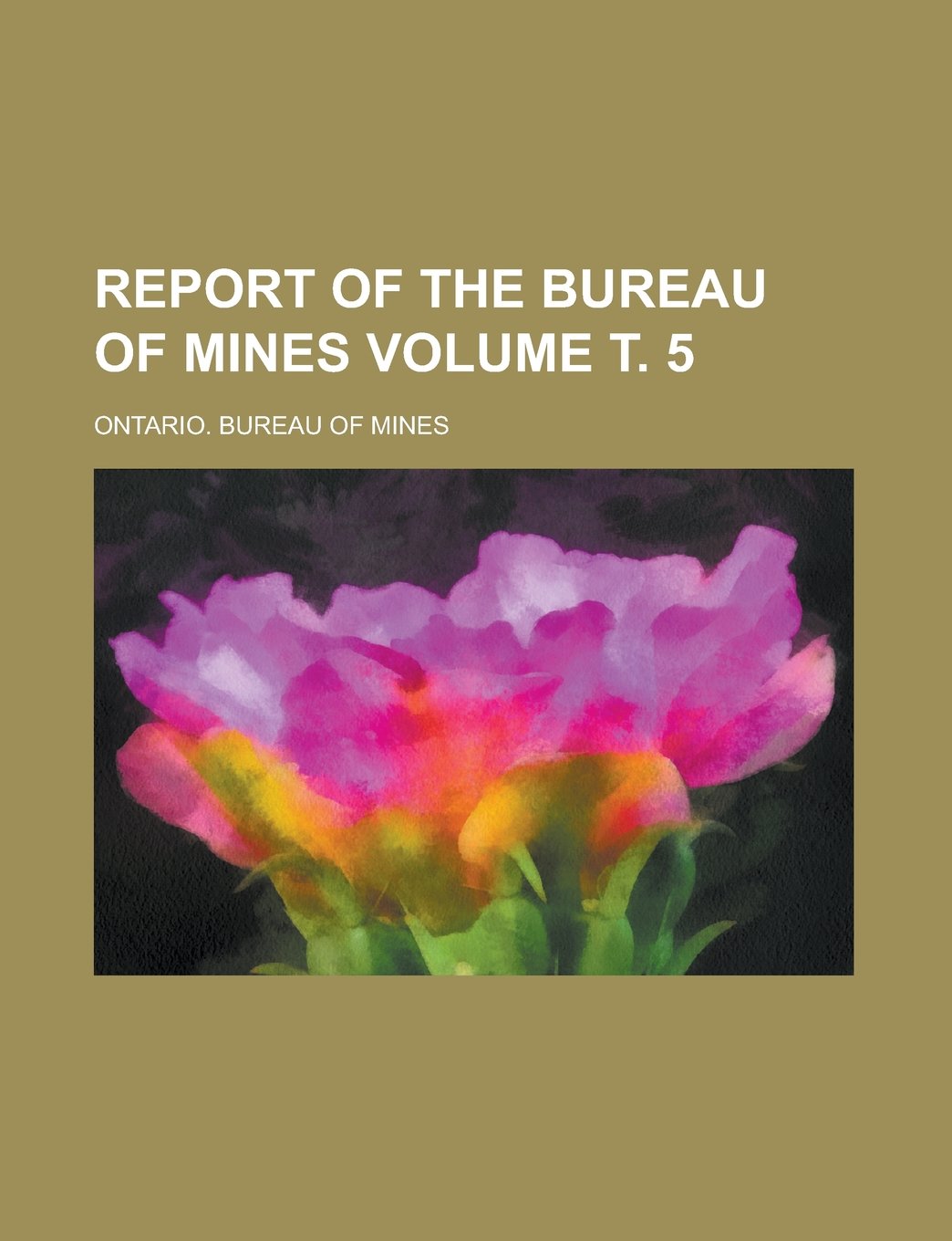 Report of the Bureau of Mines Volume т. 5 Books