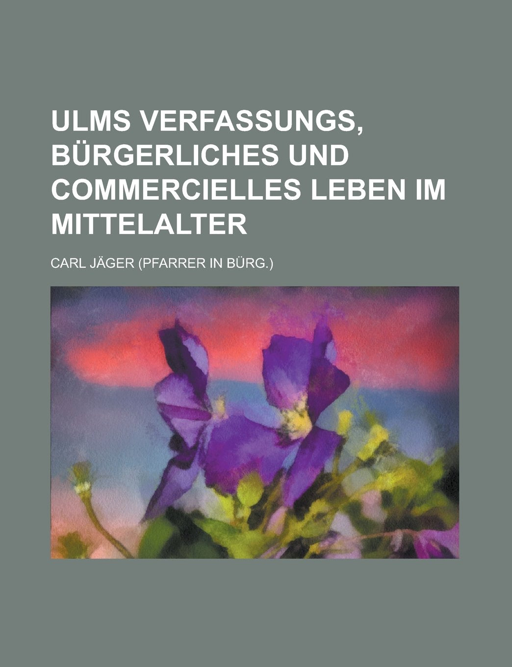 Ulms Verfassungs, bürgerliches und commercielles Leben im Mittelalter Books
