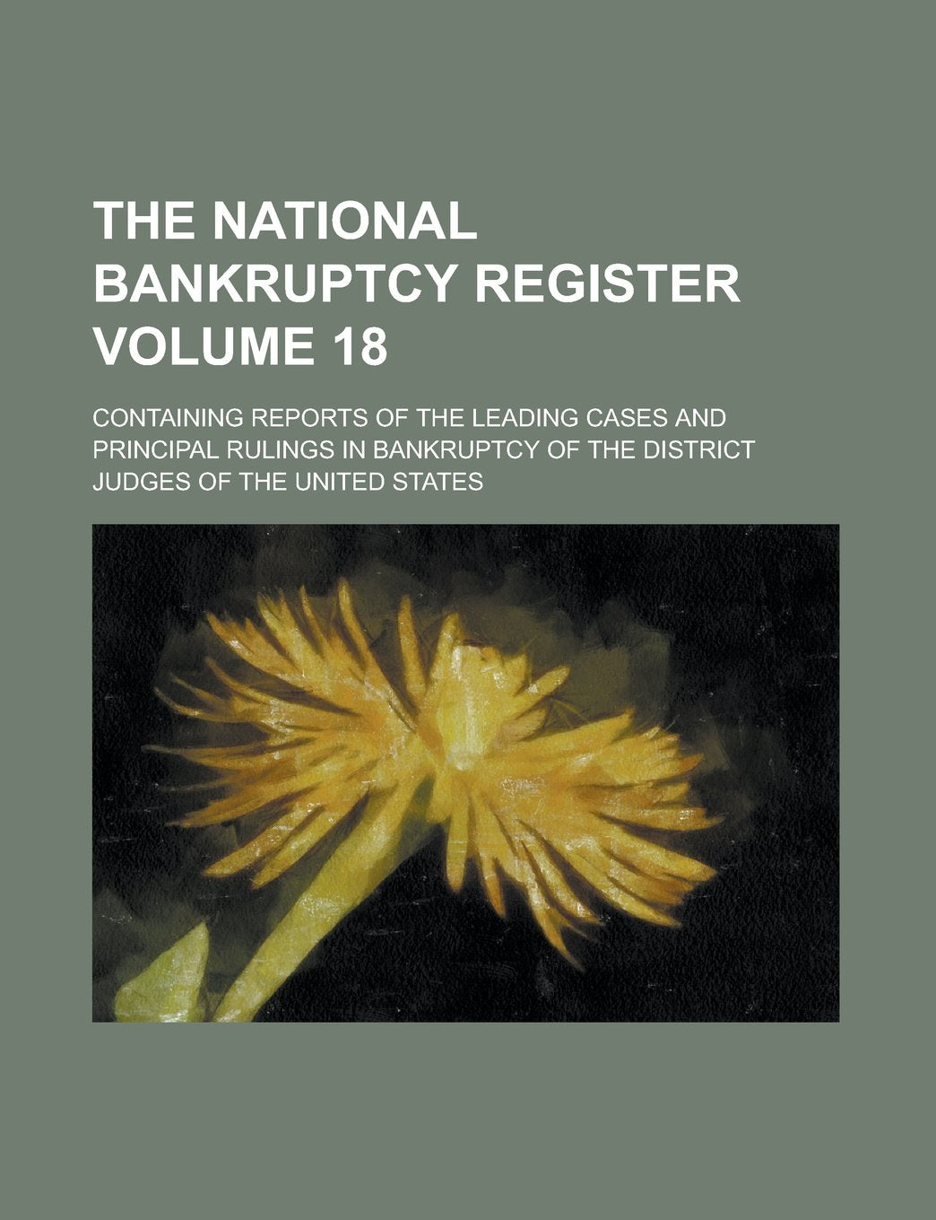 The National Bankruptcy Register; Containing Reports of the Leading Cases and Principal Rulings in Bankruptcy of the District Judges of the United States Volume 18 Books
