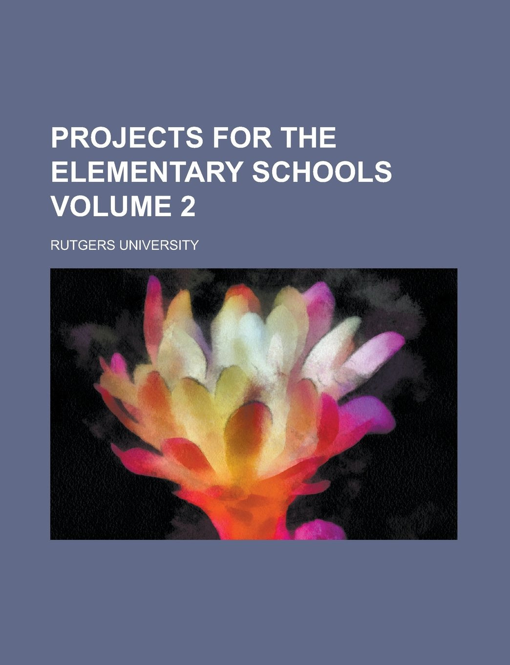 Projects for the Elementary Schools Volume 2 Books