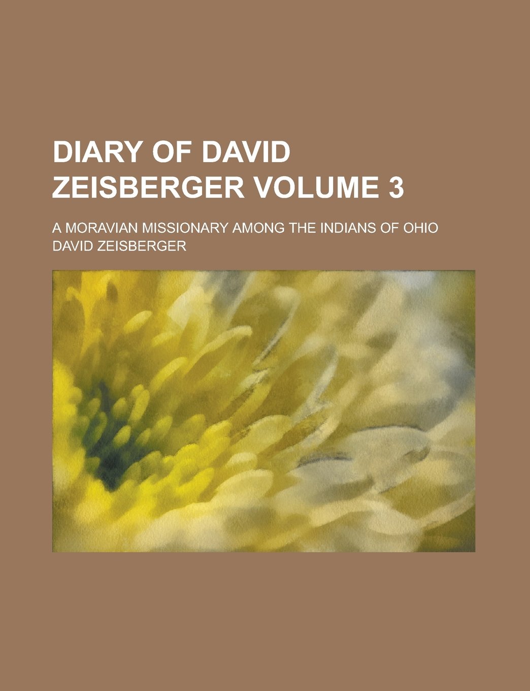 Diary of David Zeisberger; A Moravian Missionary Among the Indians of Ohio Volume 3 Politics & History