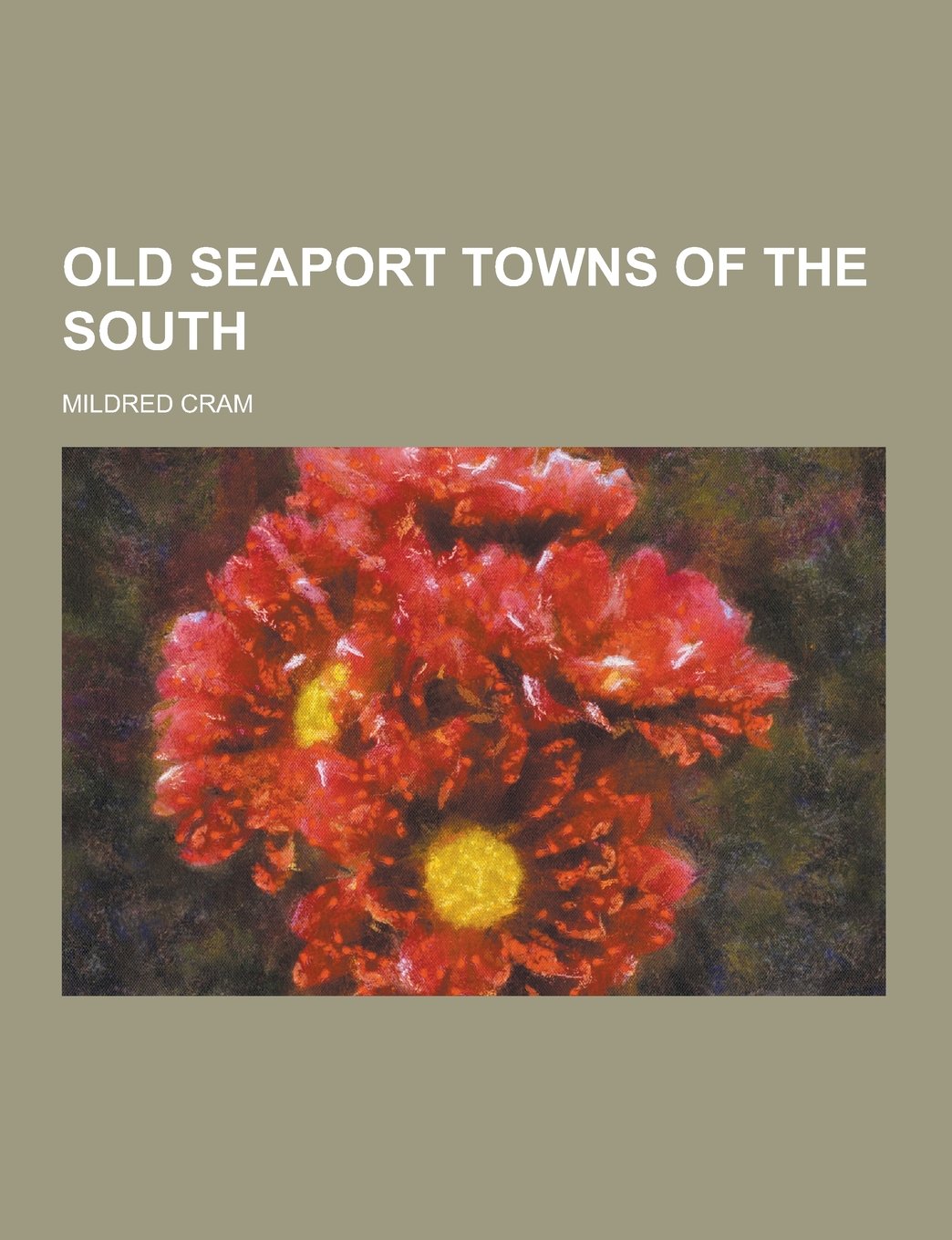 Old Seaport Towns of the South Politics & History