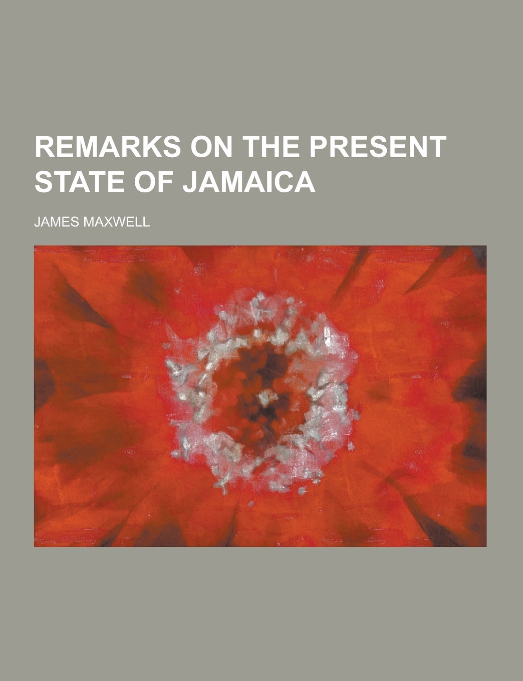 Remarks on the Present State of Jamaica Politics & History