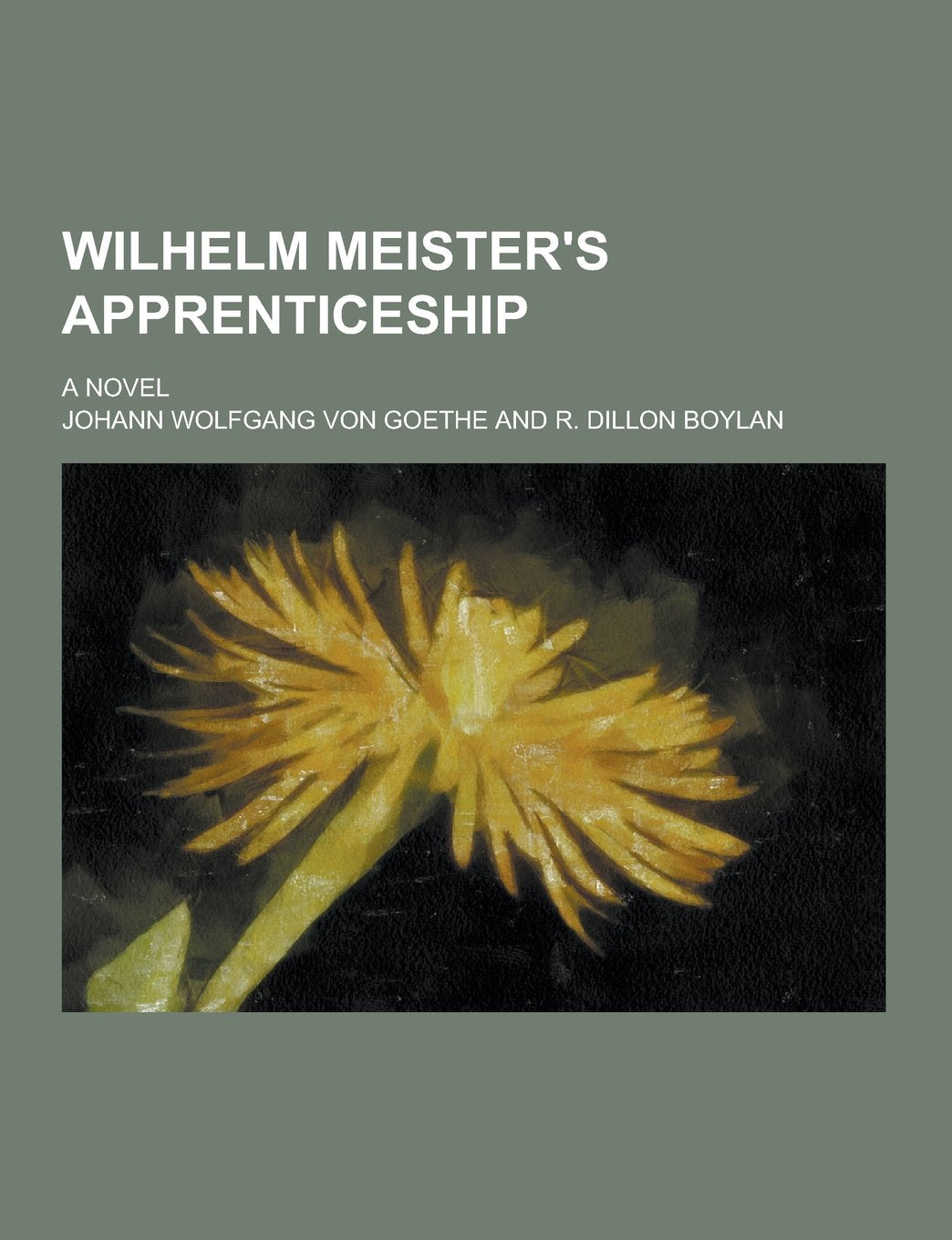 Wilhelm Meister's Apprenticeship; A Novel Politics & History