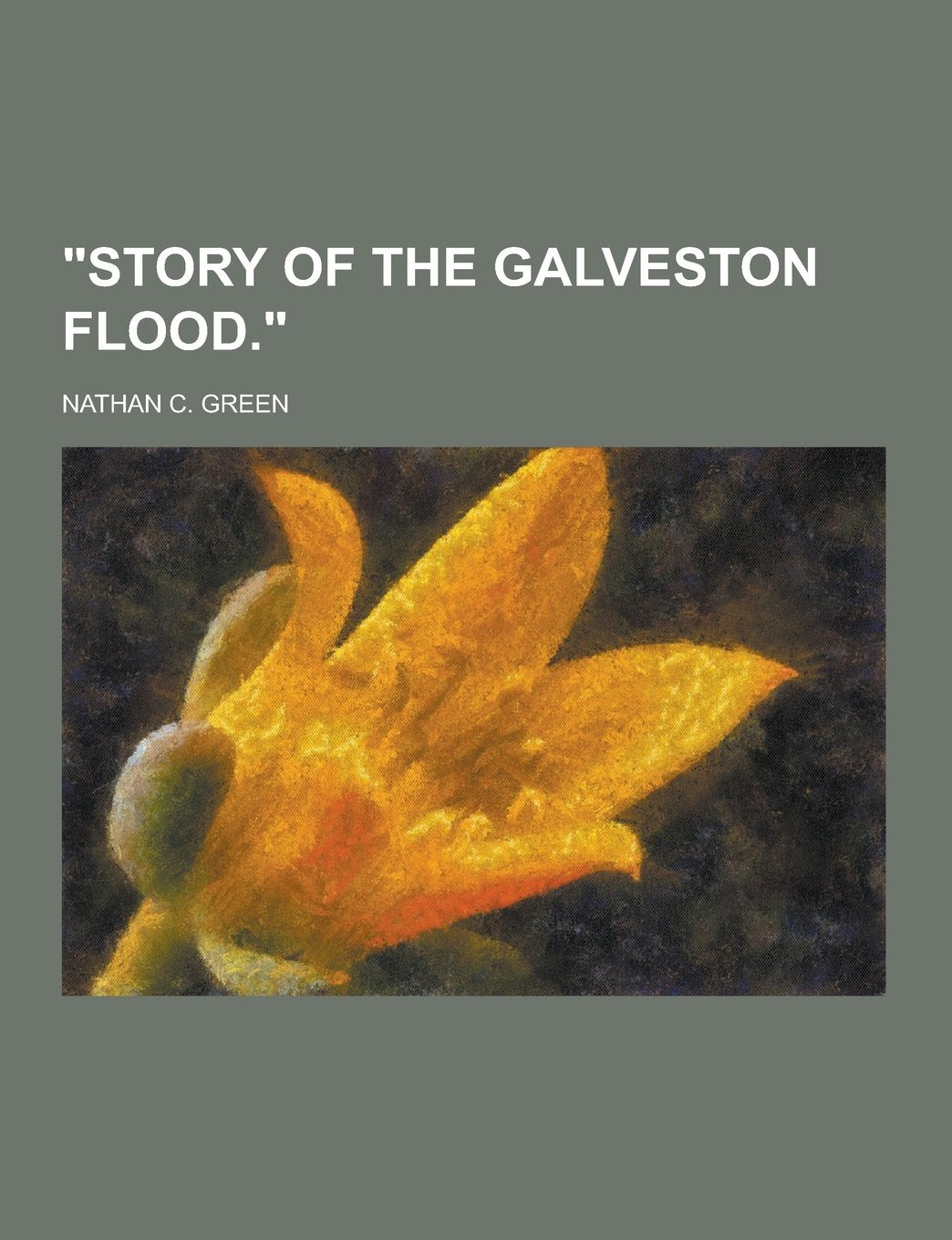 Story of the Galveston Flood. Books