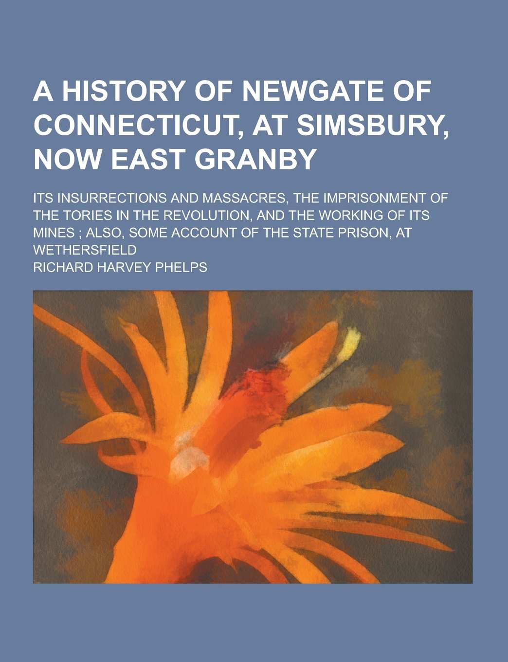 A History of Newgate of Connecticut, at Simsbury, Now East Granby; Its Insurrections and Massacres, the Imprisonment of the Tories in the Revolution Books