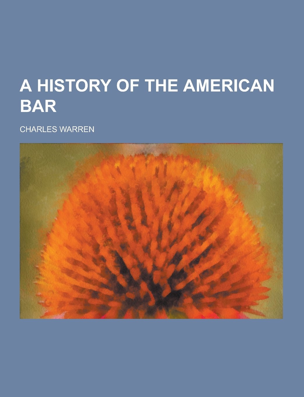 A History of the American Bar Law