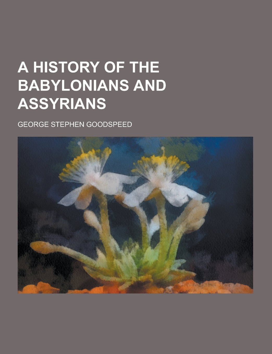 A History of the Babylonians and Assyrians Politics & History