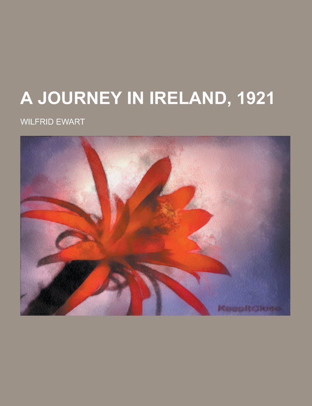 A Journey in Ireland, 1921 Politics & History