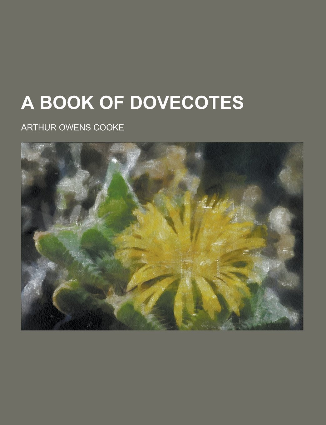 A Book of Dovecotes Books