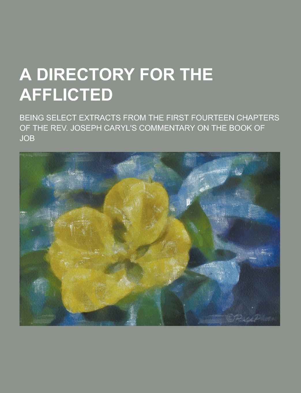 A Directory for the Afflicted; Being Select Extracts from the First Fourteen Chapters of the REV. Joseph Caryl's Commentary on the Book of Job Books