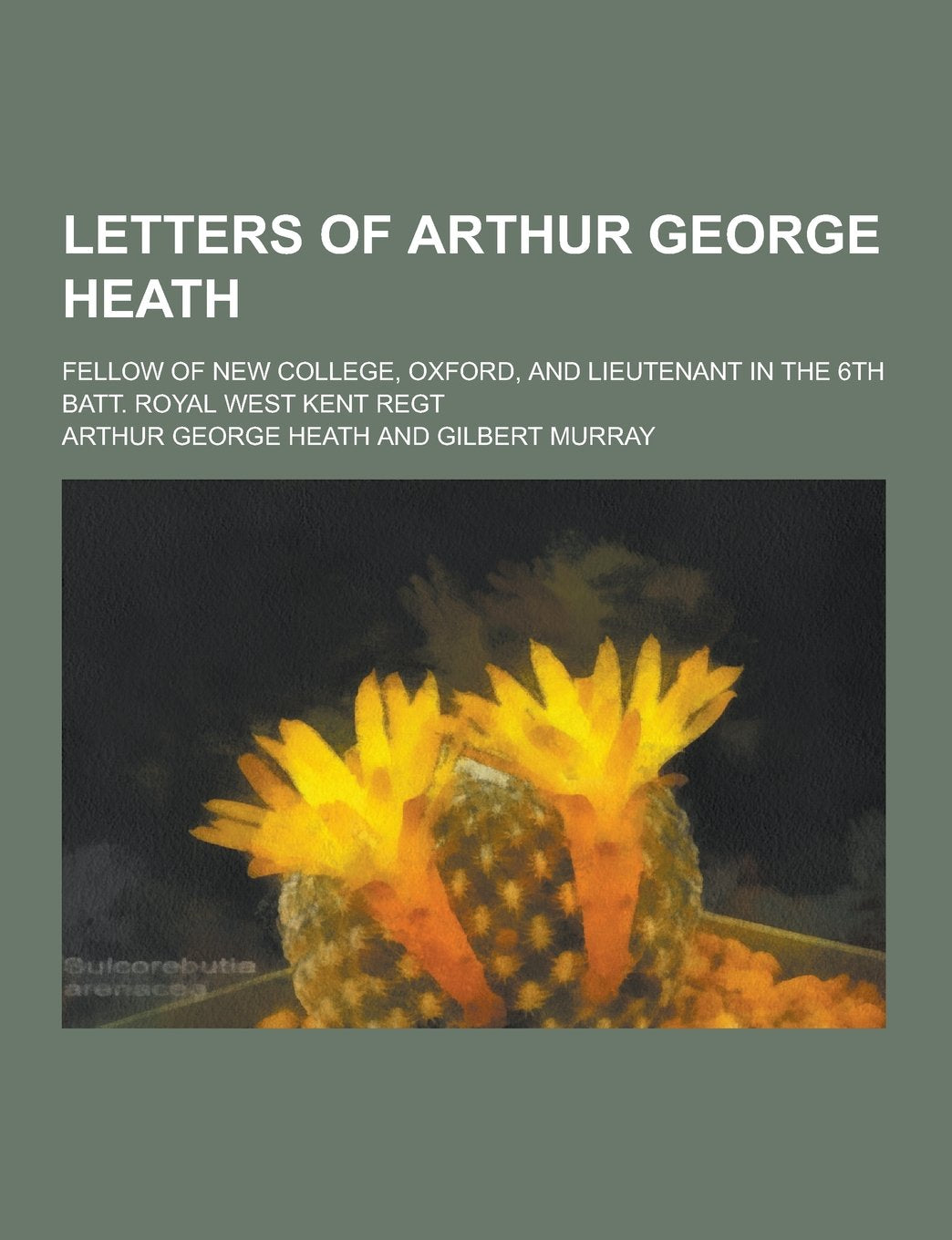 Letters of Arthur George Heath; Fellow of New College, Oxford, and Lieutenant in the 6th Batt. Royal West Kent Regt Books