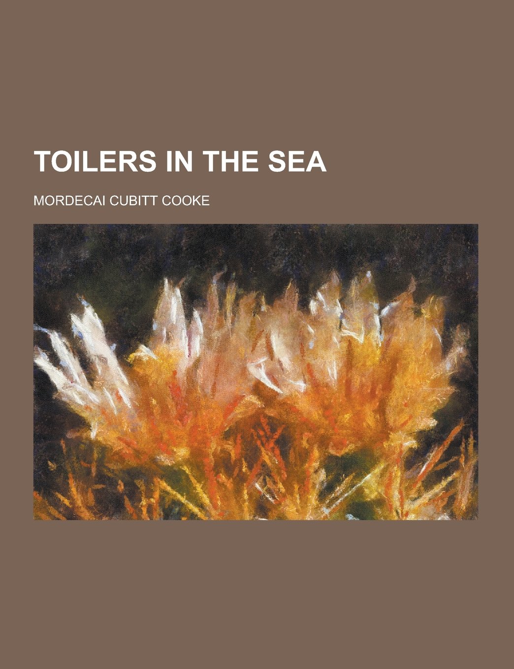 Toilers in the Sea book