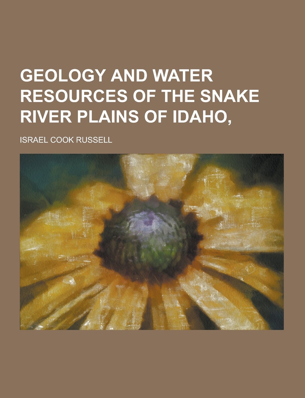 Geology and Water Resources of the Snake River Plains of Idaho, Books