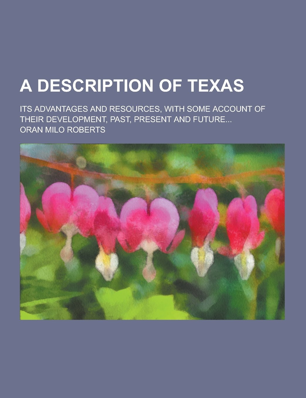 A Description of Texas; Its Advantages and Resources, with Some Account of Their Development, Past, Present and Future... Politics & History