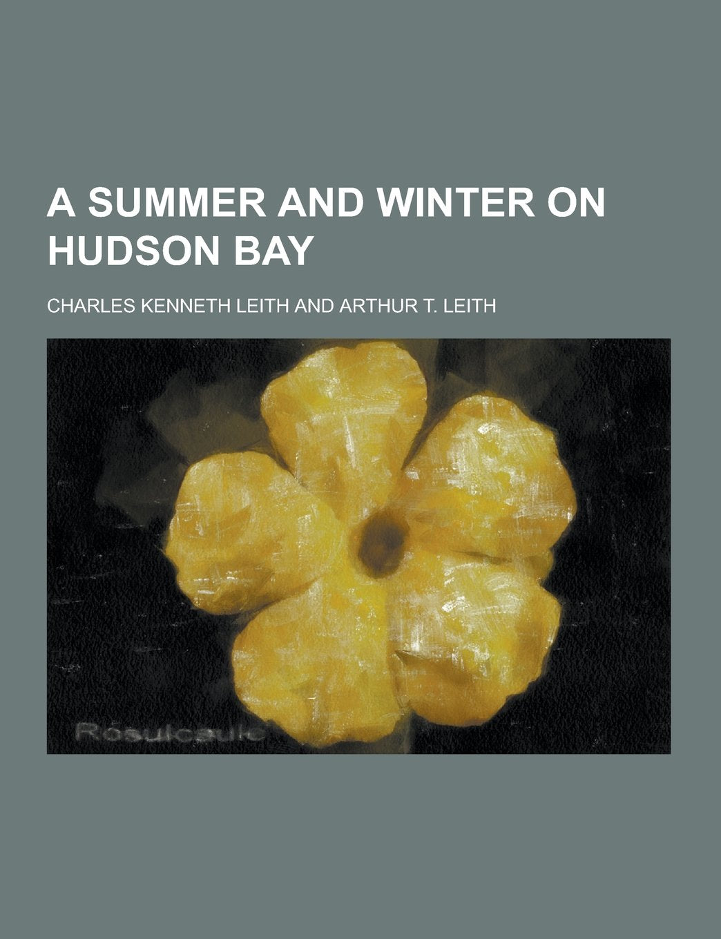 A Summer and Winter on Hudson Bay Books