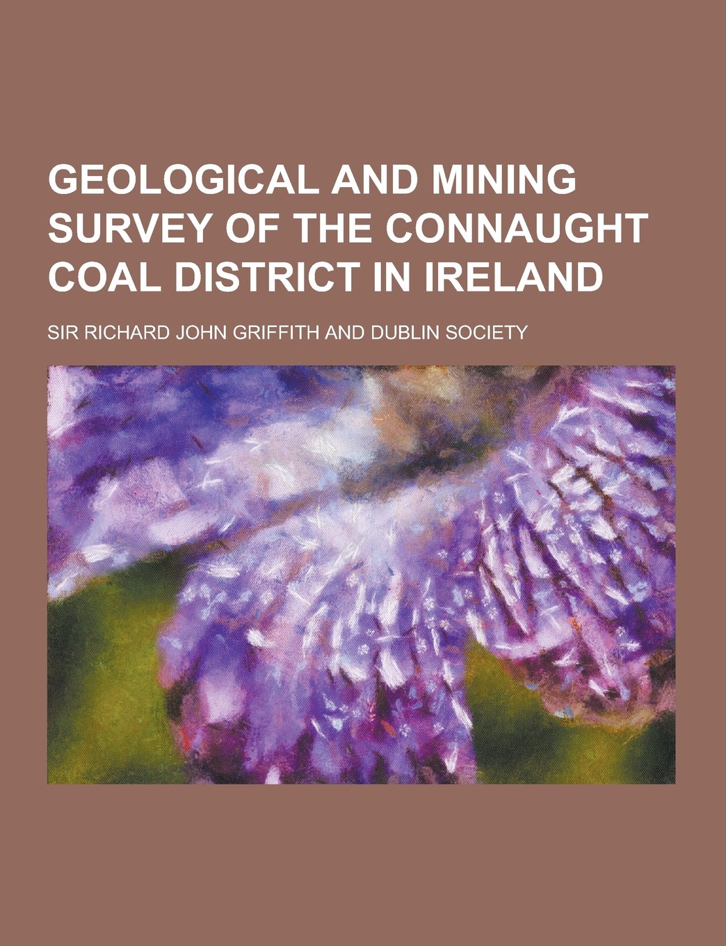 Geological and Mining Survey of the Connaught Coal District in Ireland Books