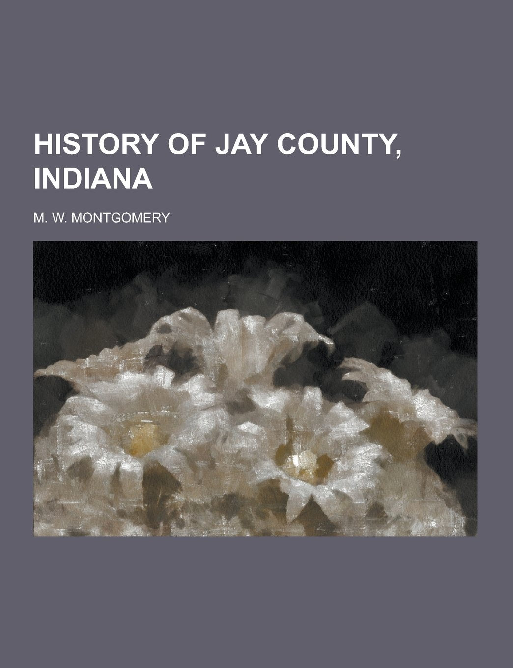 History of Jay County, Indiana Politics & History