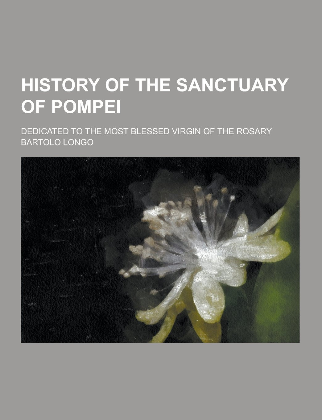 History of the Sanctuary of Pompei; Dedicated to the Most Blessed Virgin of the Rosary Books
