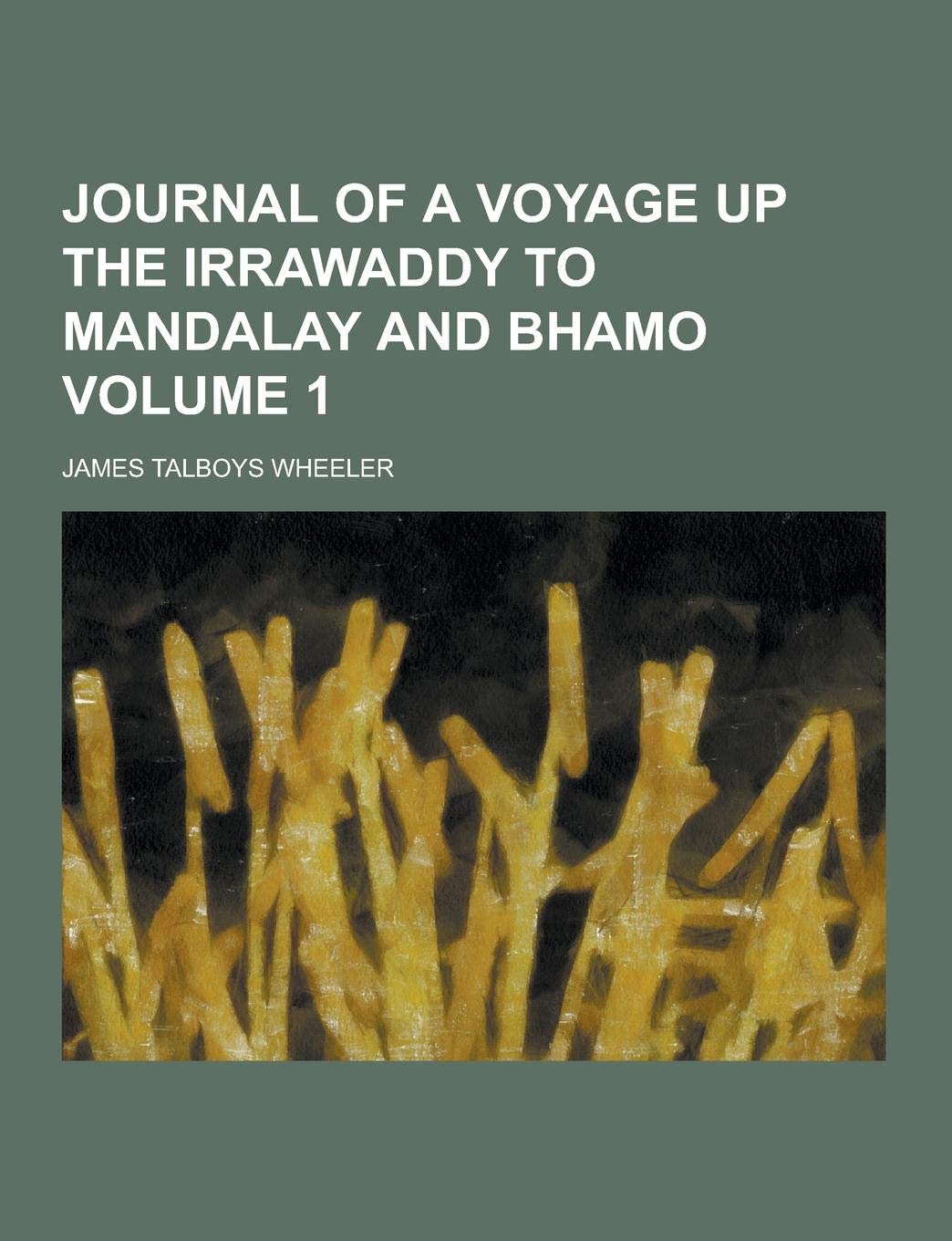 Journal of a Voyage Up the Irrawaddy to Mandalay and Bhamo Volume 1 Books