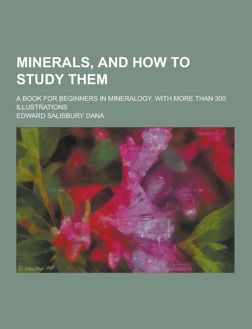 Minerals, and How to Study Them; A Book for Beginners in Mineralogy. with More Than 300 Illustrations Politics & History
