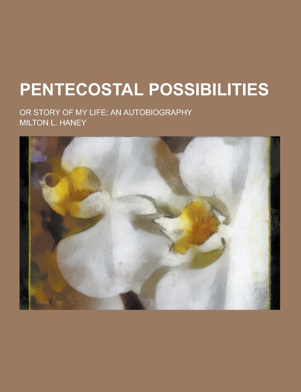 Pentecostal Possibilities; Or Story of My Life; An Autobiography Books