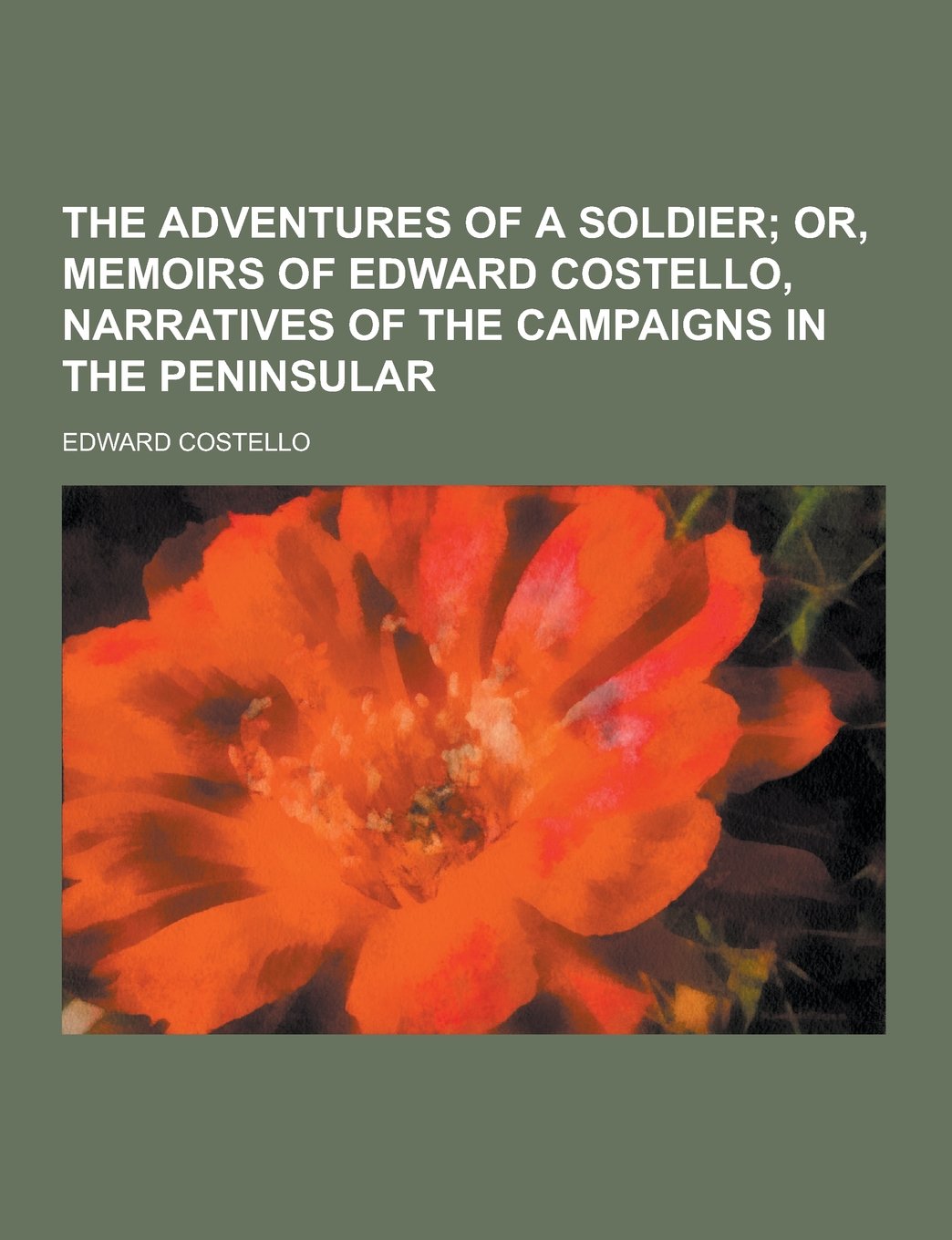 The Adventures of a Soldier Politics & History