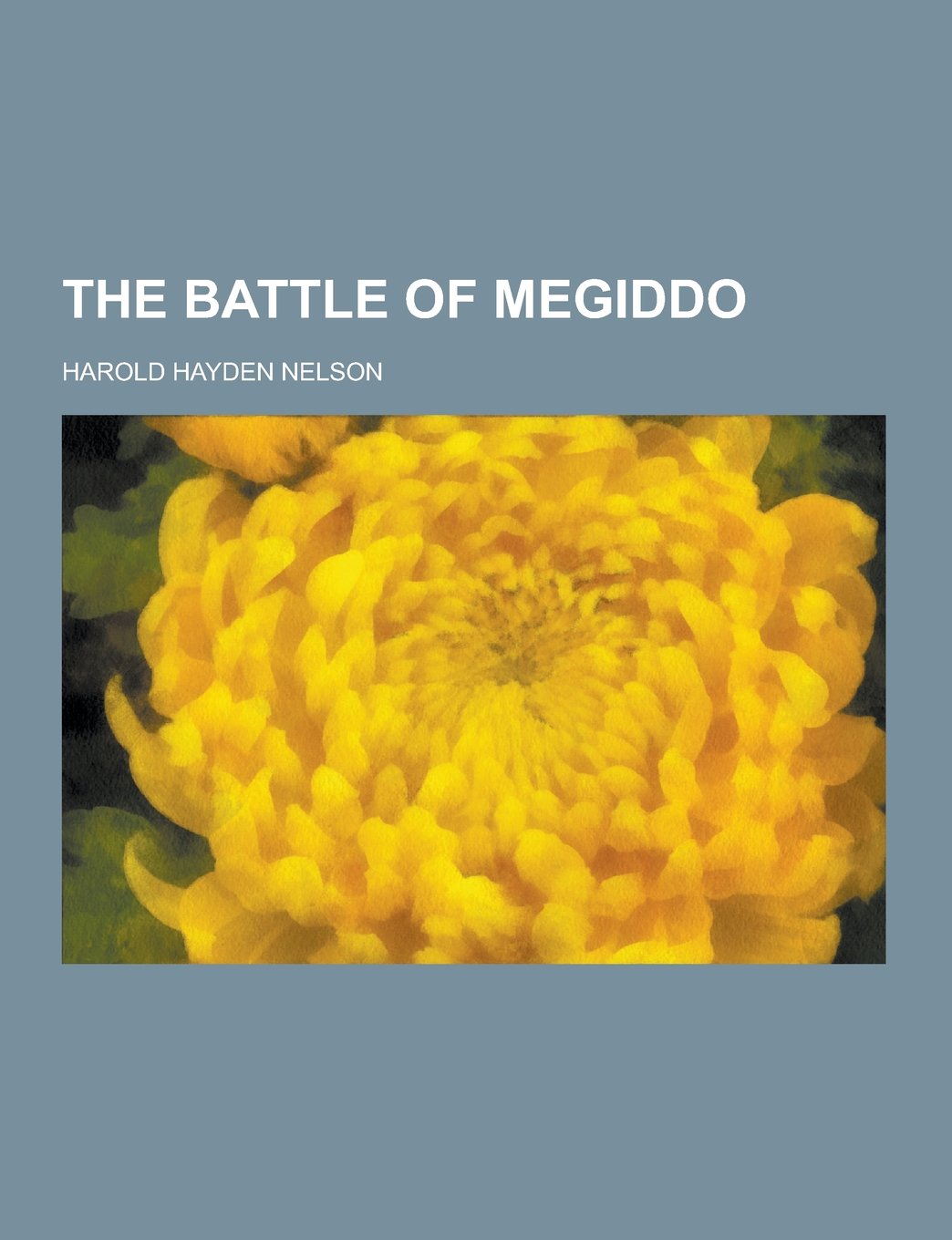 The Battle of Megiddo Books