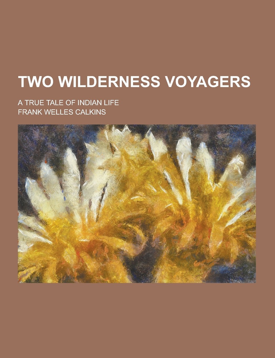 Two Wilderness Voyagers; A True Tale of Indian Life Books