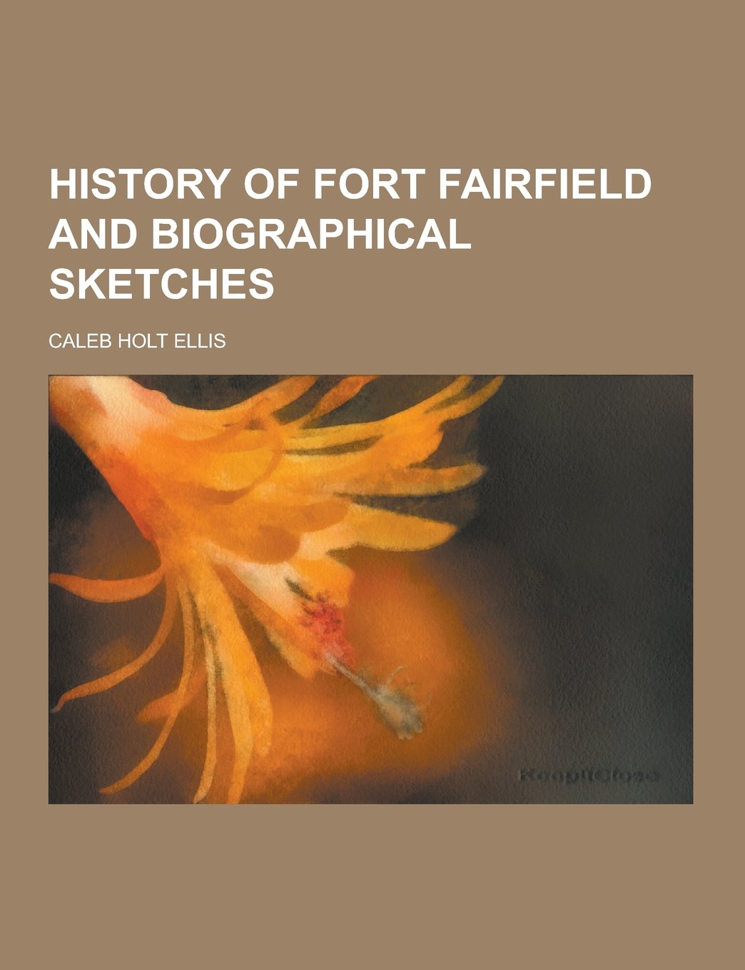History of Fort Fairfield and Biographical Sketches Memories