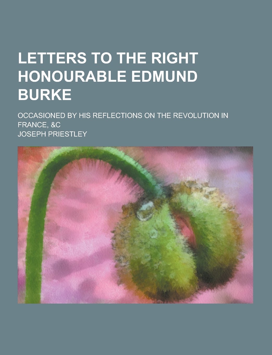 Letters to the Right Honourable Edmund Burke; Occasioned by His Reflections on the Revolution in France, &C Books