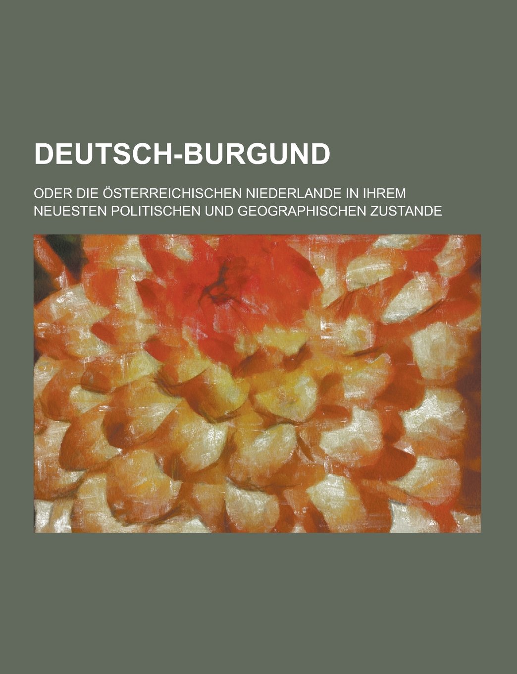 Deutsch-Burgund; Oder Die Osterreichischen Niederlande in Ihrem Neuesten Politischen Und Geographischen Zustande book