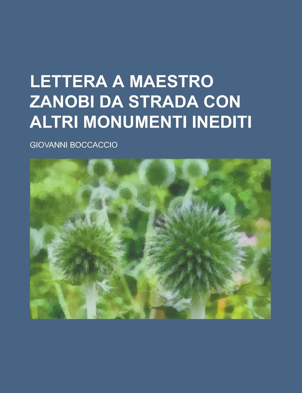 Lettera a Maestro Zanobi da Strada con altri monumenti inediti (Italian Edition) Politics & History
