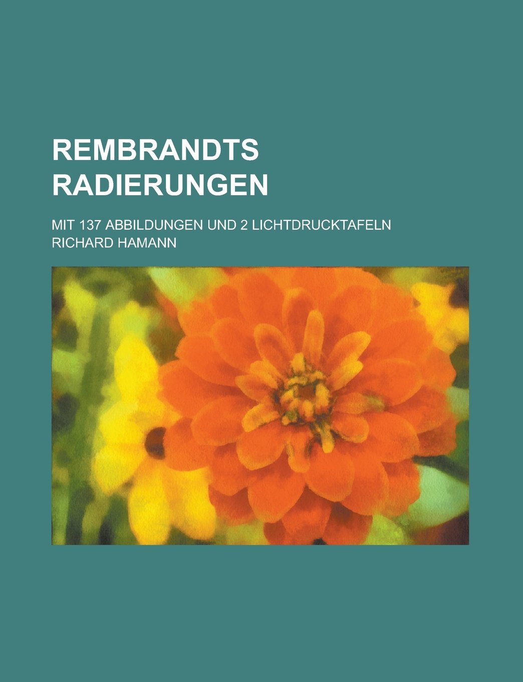 Rembrandts Radierungen; Mit 137 Abbildungen Und 2 Lichtdrucktafeln Books