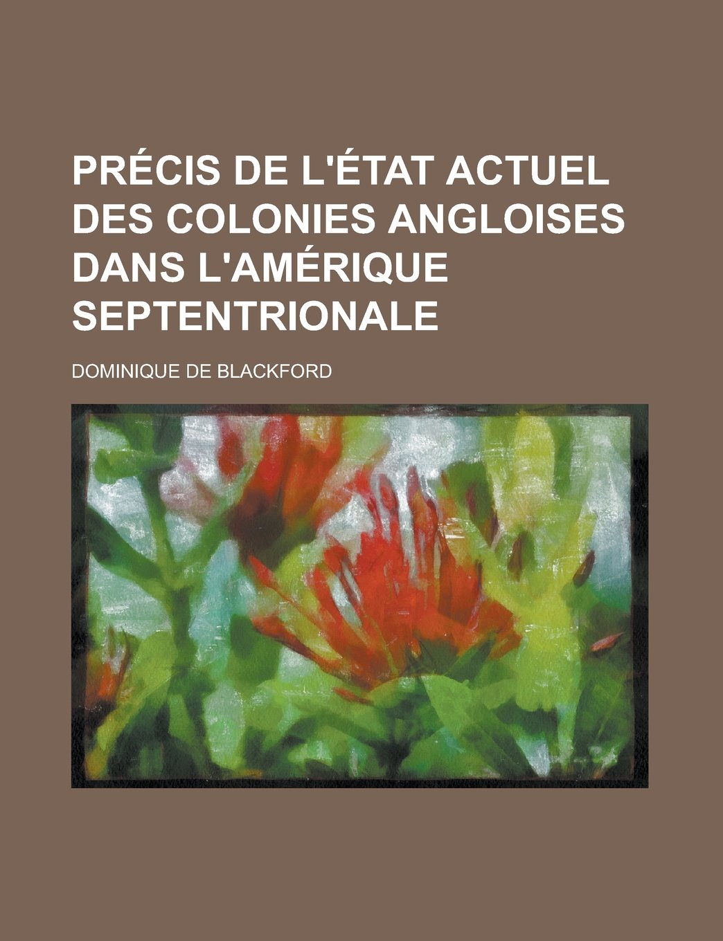Précis de l'état actuel des colonies angloises dans l'Amérique septentrionale (French Edition) Books